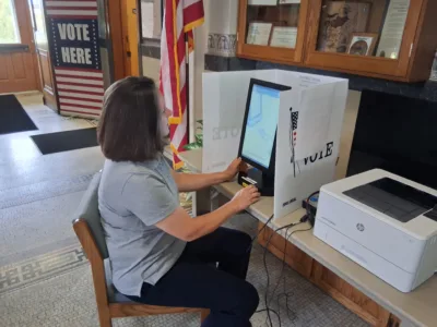 Navigating the ballot for the primary election
